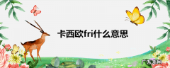 卡西欧fri什么意思