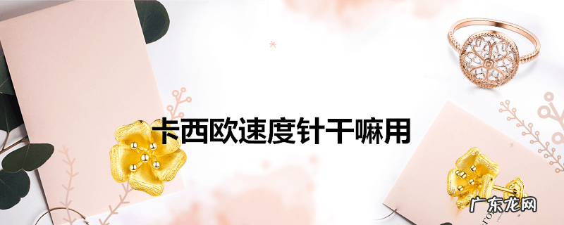 卡西欧速度针干嘛用