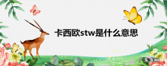 卡西欧stw是什么意思