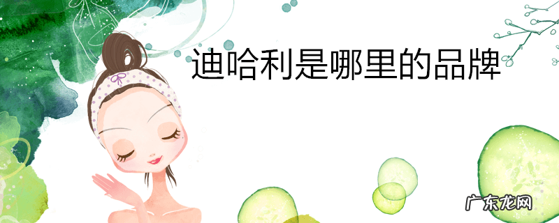 迪哈利是哪里的品牌