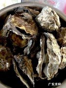 吃海蛎子有什么好处？海蛎子的做法,海蛎子的营养分析