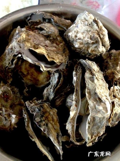 吃海蛎子有什么好处?海蛎子的做法,海蛎子的营养分析