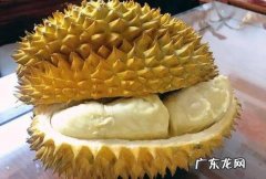 榴莲为什么不甜