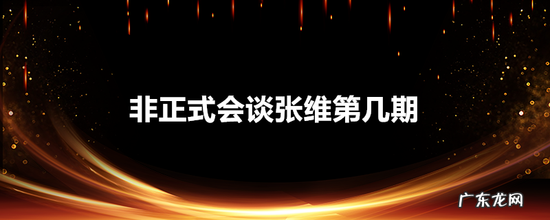 非正式会谈张维第几期