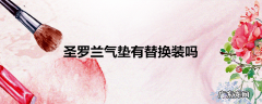 圣罗兰气垫有替换装吗