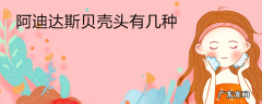 阿迪达斯贝壳头有几种