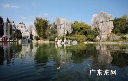 过年可以去昆明吗 2022元旦可以去昆明吗