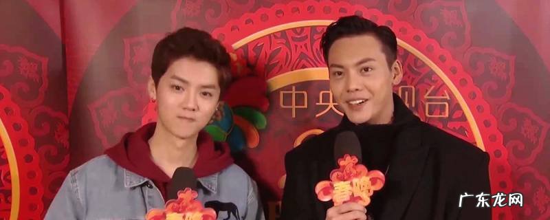 和鹿晗春晚合唱的是谁