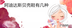 阿迪达斯贝壳鞋有几种