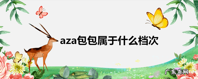 aza包包属于什么档次