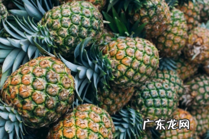 菠萝有酒味是怎么回事 菠萝有酒味是坏了吗