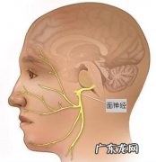 感觉右脸颊神经一跳一跳的,怎么回事？