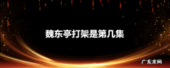 魏东亭打架是第几集