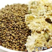 菊花决明子茶的功效与作用