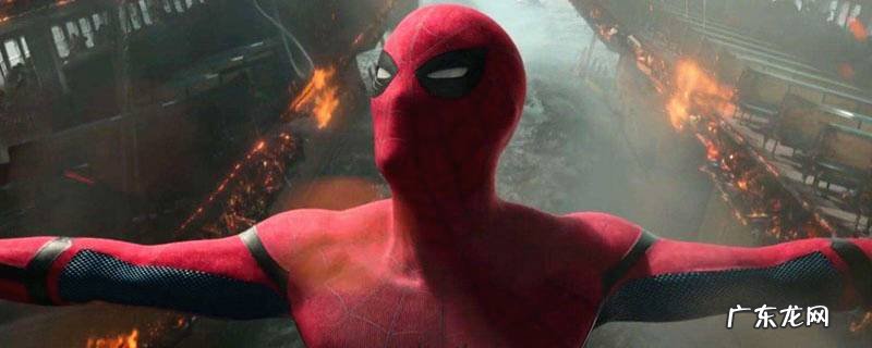 小蜘蛛为什么叫荷兰弟