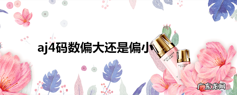 aj4码数偏大还是偏小