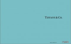 tiffany曲别针 蒂芙尼曲别针图片