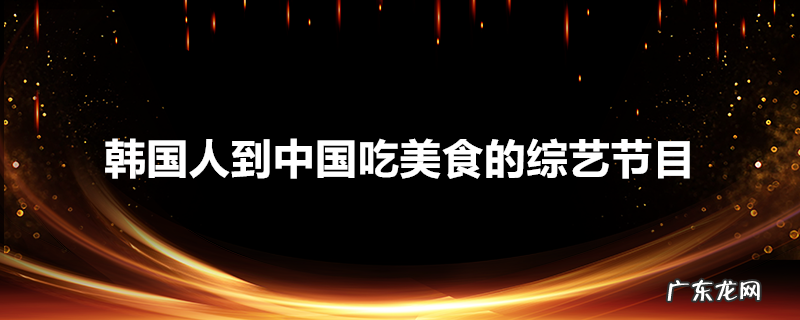 韩国人到中国吃美食的综艺节目