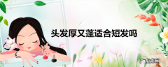 头发厚又蓬适合短发吗