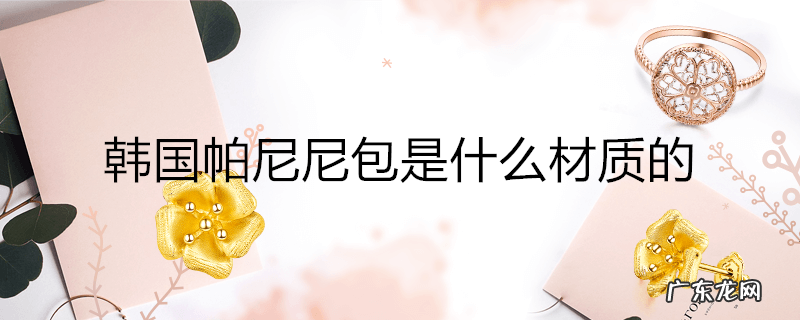 韩国帕尼尼包是什么材质的