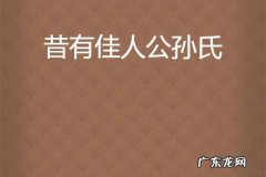 昔有佳人公孙氏下一句
