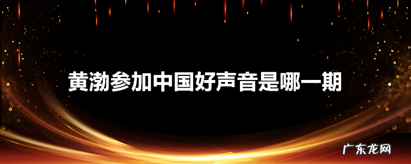 黄渤参加中国好声音是哪一期