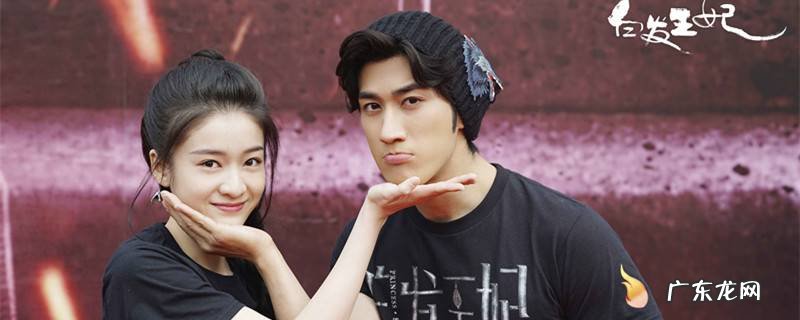 黎王殿下是什么电视剧