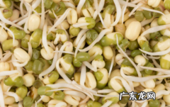 绿豆发芽长叶还能吃吗 绿豆芽长叶能吃吗