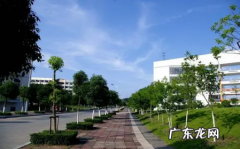 2020年冬天深圳冷吗 2022年深圳一般冷到几月