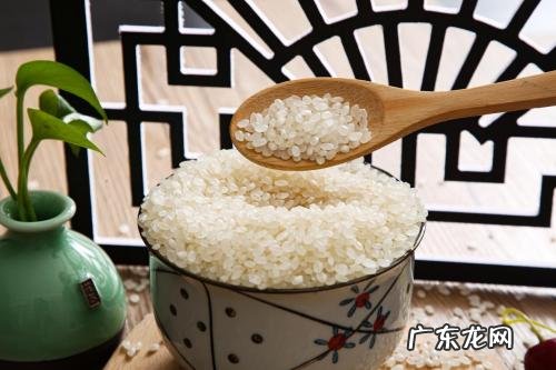 粳米是什么