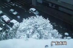南京今年冬天会下雪吗2021 2022年南京过年下雪吗