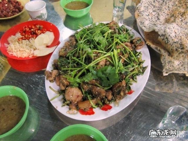 越南人为什么爱吃猫 越南人为什么对吃猫肉情有独钟