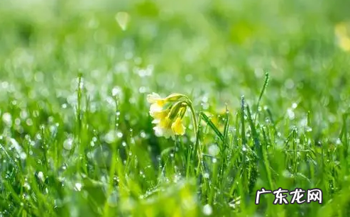 2022年春天是什么时候 2022春分过后天气多久变暖