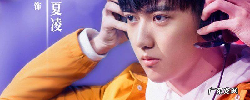 陪你到世界之巅夏凌结局