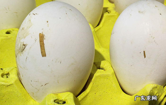 天麻炖鹅蛋的做法