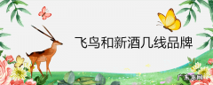 飞鸟和新酒几线品牌