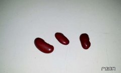 图钉红豆是什么梗？图钉红豆是什么意思？图钉红豆是什么意思啊