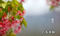 2022春分开始要晚睡晚起吗