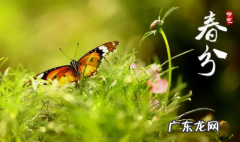 春分是春天的开始吗 2022春分是春天的第一天吗