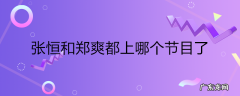 张恒和郑爽都上哪个节目了