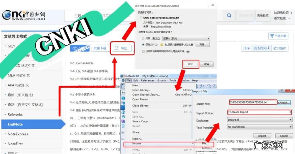 endnote不能导入文献怎么办?教你如何将endnote文献导入到excel中!