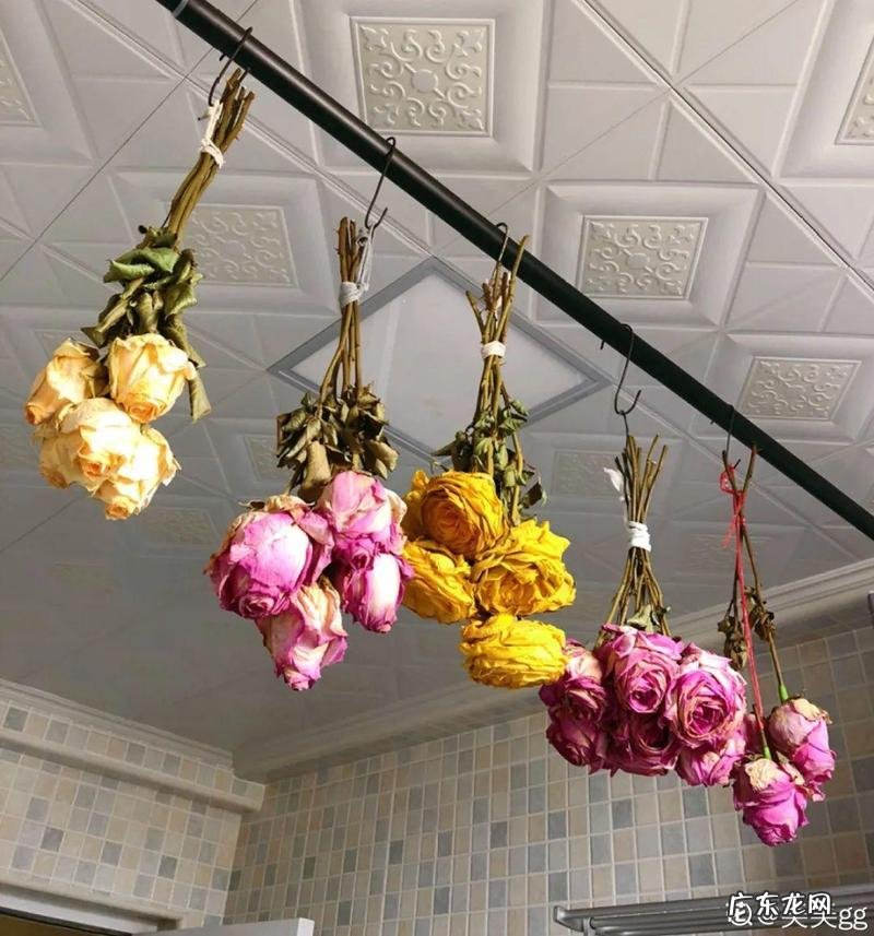 鲜花干花要倒挂几天