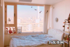 如何让蟑螂不靠近床学校宿舍 如何让蟑螂不靠近床