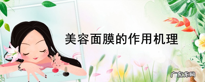 美容面膜的作用机理