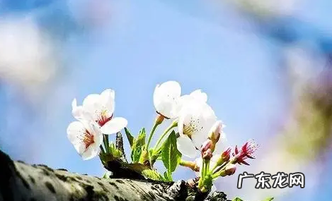 2021年躲春怎么躲 2022年躲春是躲一天吗