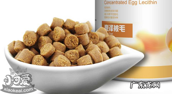 狗粮使用方法 狗粮储存方法