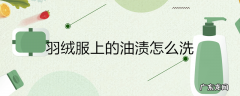 羽绒服上的油渍怎么洗