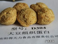 大豆蛋白是什么东西