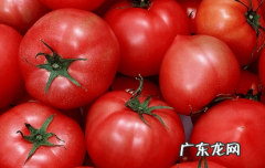 西红柿需要打顶摘心吗 西红柿要打顶摘掉分枝吗