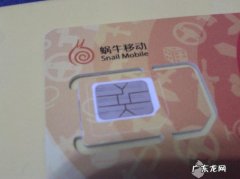 蜗牛移动是什么卡